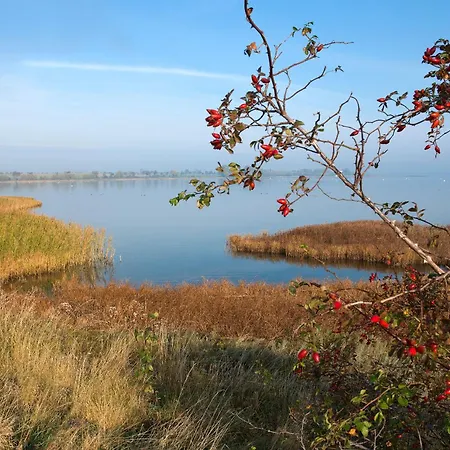 Ostsee Residenz Meeresblick Strandlaeufer Apartmán Insel Poel