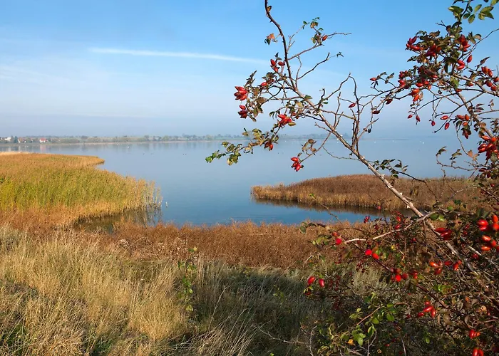 Ostsee Residenz Meeresblick Strandlaeufer דירה אינזל פואל